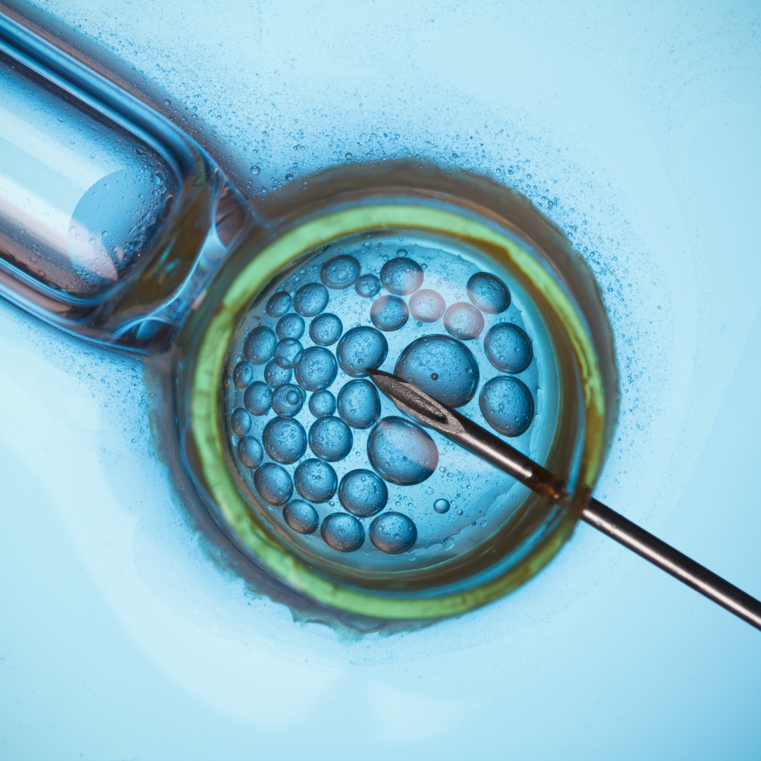 Effective Treatment for Infertility Now in Amritsar – EMC Cradle: The Foundation of Your Happiness